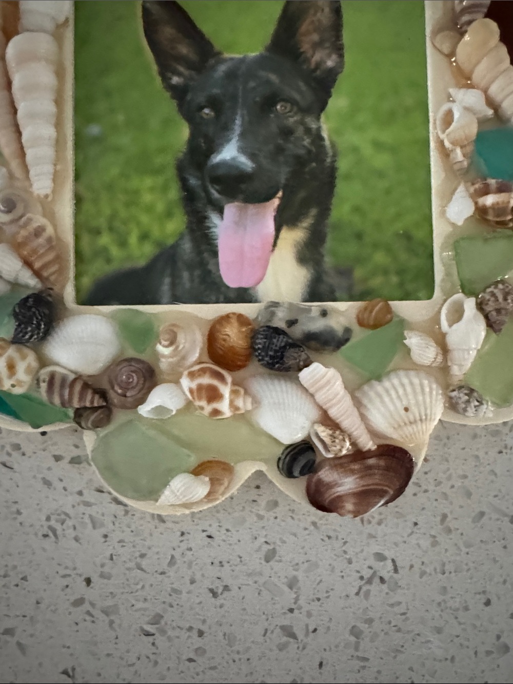Handcrafted Shell & Sea Glass Frame - Picture 4 of 6